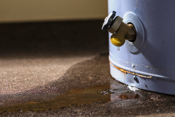 Trusted LA Water damage restoration Experts