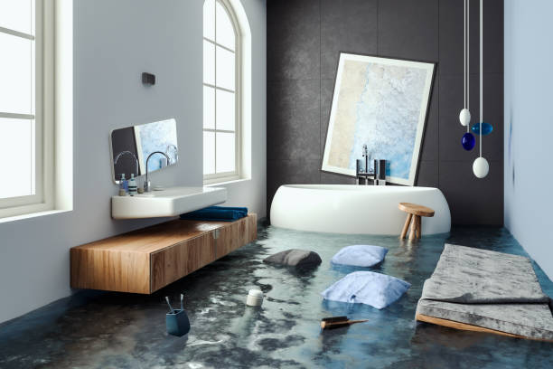 Best Professional water damage repair  in Port Allen, LA