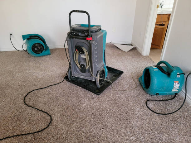 Best Flood restoration services  in Port Allen, LA