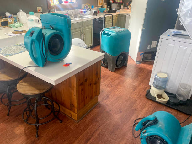 Best Water damage restoration near me  in Port Allen, LA