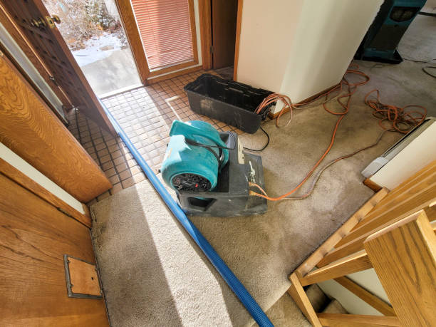 Best Water damage contractors near me  in Port Allen, LA