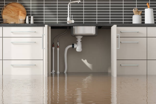 Best Sewage cleanup and water damage restoration  in Port Allen, LA