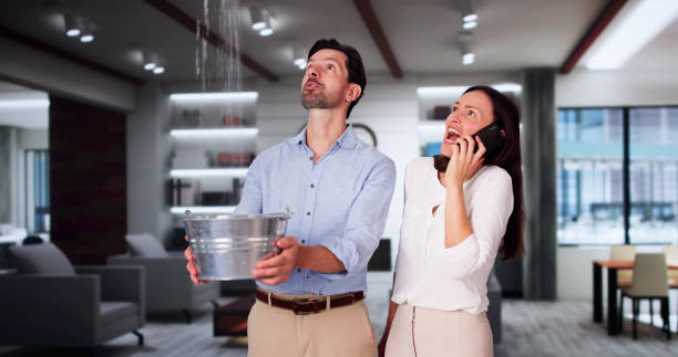 Best Mold removal after water damage  in Port Allen, LA