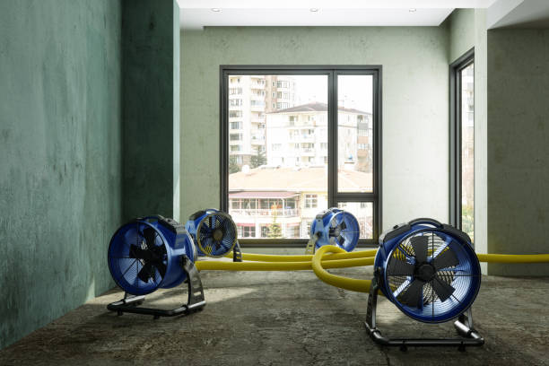 Best Fire Damage Restoration  in Port Allen, LA