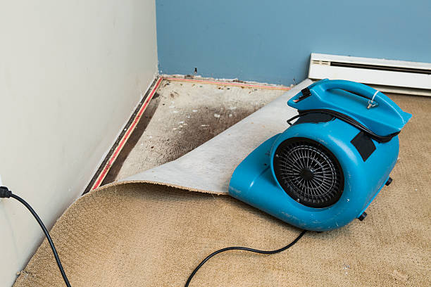 Best 24-hour water damage restoration  in Port Allen, LA